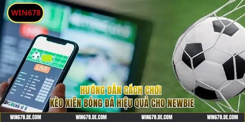 Hướng dẫn tham gia kèo xiên bóng đá hiệu quả